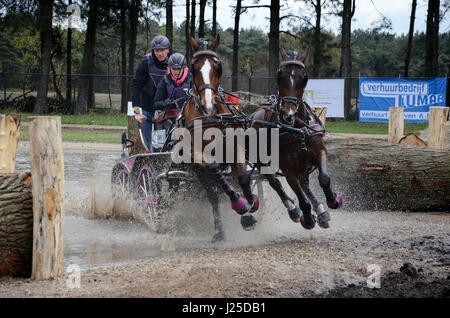 Transport international des concours de conduite, Horst, Limbourg Pays-Bas Banque D'Images