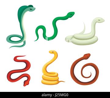 Boa serpent venimeux Cobra multi-couleurs lumineuses vector illustration isolé sur blanc faune nature caractère serpent viper Illustration de Vecteur