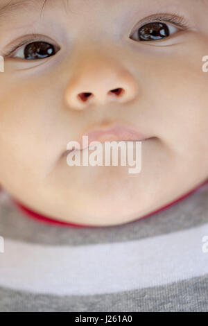 Baby Boy portrait, Portrait Banque D'Images