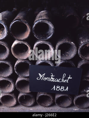 Montrachet 1881 rare ancien bouteilles poussiéreuses réévalue régulièrement bouchonné et dégustés dans les caves de Louis Jadot, Beaune, bourgogne, Côte d'Or, France. Banque D'Images