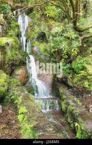 Paysage incroyable cascade de Madère Banque D'Images