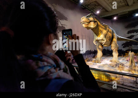 Femme de prendre une photo d'un T-Rex animatronique dinossaur avec son smartphone au Natural History Museum de Londres, Angleterre, Royaume-Uni, Europe Banque D'Images