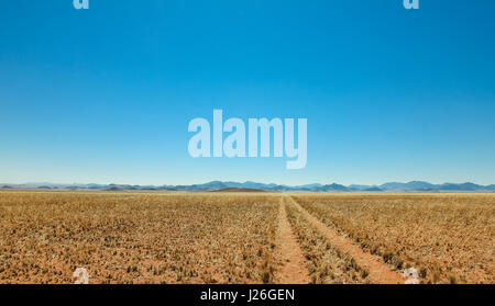 Route de terre désertique tout droit la voie passe une prairie vers les montagnes. Banque D'Images