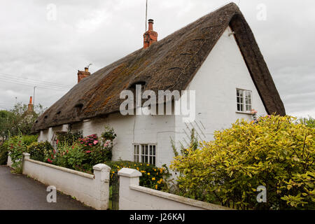 Vieille maison cottage blanc avec fleur mauve et de roses ; Avebury, dans le Wiltshire, Angleterre Banque D'Images