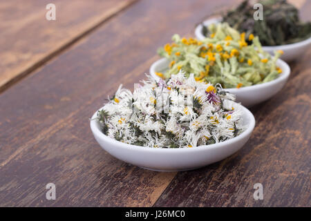 Bols de diverses herbes séchées Banque D'Images