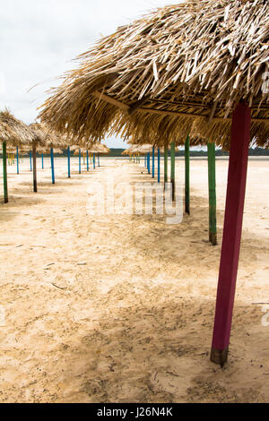 Parasols ligne dans une plage vide par l'Amazone, dans l'île de Marajo au Brésil. Banque D'Images