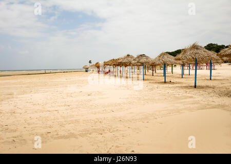 Parasols ligne dans une plage vide par l'Amazone, dans l'île de Marajo au Brésil. Banque D'Images