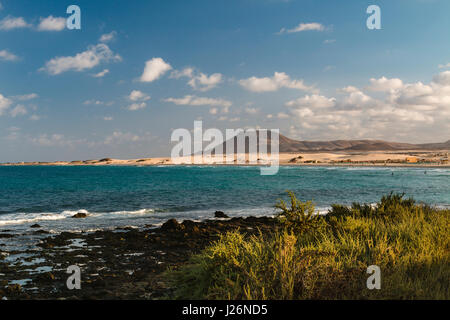 À l'eau turquoise de la baie de Corralejo à Fuerteventura, Espagne avec quelques buissons au premier plan. Banque D'Images