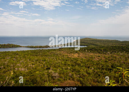 Amazon rivière et forêt paysage, vu de la colline Piroca, dans l'amour (de l'île Ilha do Amor), à Alter do Chao, au Brésil. Banque D'Images