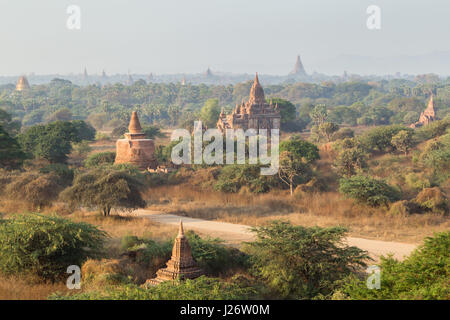 Vue panoramique sur de nombreux temples et pagodes de l'ancienne plaine de Bagan au Myanmar (Birmanie), dans la matinée. Banque D'Images