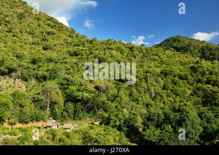 Le sentier pour le plus haut sommet de Cuba Pico Turquino étant dans une chaîne de montagnes Sierra Maestra sur Cuba Banque D'Images