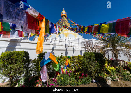 Le bouda stupa est le centre de la spiritualité bouddhiste de la ville, le bâtiment blanc est tibetean prayerflags coloré décoré par Banque D'Images