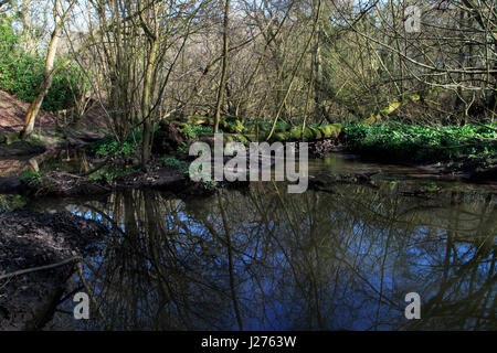 Barrage de Lymm, Warrington, Cheshire, nord-ouest de l'Angleterre, Royaume-Uni Banque D'Images