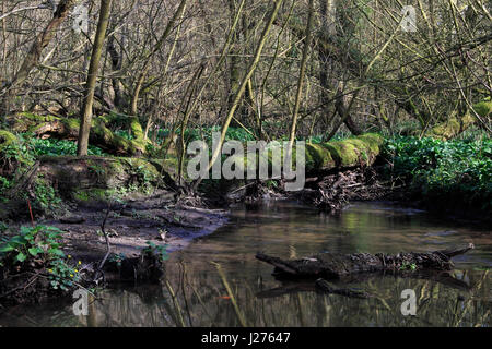 Barrage de Lymm, Warrington, Cheshire, nord-ouest de l'Angleterre, Royaume-Uni Banque D'Images