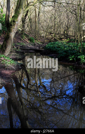 Barrage de Lymm, Warrington, Cheshire, nord-ouest de l'Angleterre, Royaume-Uni Banque D'Images