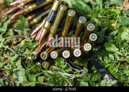 Ceintures de munitions balles en piscine pour mitrailleuse. Banque D'Images