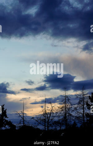 Tuesley ferme, Godalming. 25 avril 2017. Menaces sur l'Home Counties ce soir apporter des précipitations isolées. Storm clouds over Godalming à Surrey. Credit : james jagger/Alamy Live News Banque D'Images