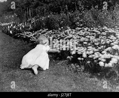 08 août 1951 - Famille heureuse à la maison Alice Déon : photo montre la Princesse Ann (né le 15 août 1950) comme tous les petits enfants, m'est fasciné par les fleurs et s'étend de la main pour cueillir l'un dans le parc de la Clarence House, la résidence de Londres de son Altesse Royale la princesse Elizabeth et le duc d'Édimbourg. (Crédit Image : © Keystone Press Agency/Keystone USA par ZUMAPRESS.com) Banque D'Images