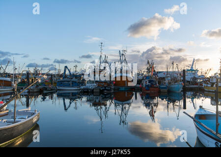 Newlyn, Cornwall, UK. 26 avril 2017. Météo britannique. Un début de journée ensoleillée pour la flotte de pêche au port de Newlyn, avec moins de vent qu'hier et beaucoup de soleil dès le début. Crédit : Simon Maycock/Alamy Live News Banque D'Images