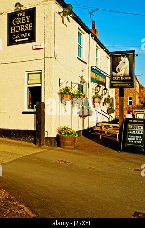 Le cheval gris, Elvington, Yorkshire Banque D'Images