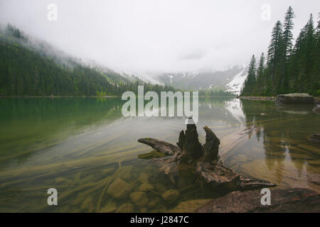 Vue panoramique du lac calme au milieu d'arbres contre le ciel pendant temps de brouillard Banque D'Images