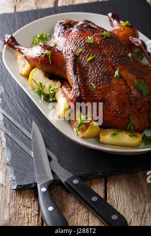 De canard fourré aux pommes et les verts close-up sur une plaque sur une table verticale. Banque D'Images