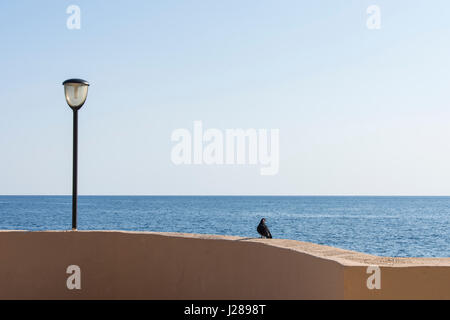 Un pigeon sur un mur en face de la mer Banque D'Images