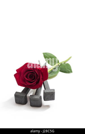 Jésus Christ clous de la Crucifixion et de rose rouge sur un fond blanc. Banque D'Images