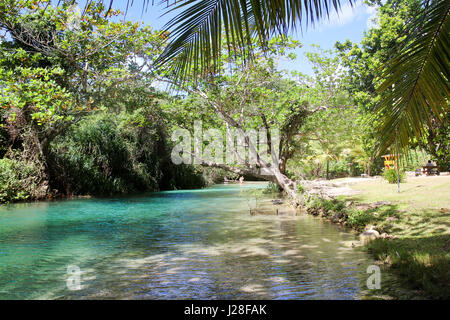 La Jamaïque, Port Antonio, Frenchmans Cove, le bleu turquoise de l'eau sur la rive du lac en Jamaïque Banque D'Images