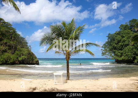 La Jamaïque, Port Antonio, Frenchmans Cove, palmier sur une petite baie de la Jamaïque Banque D'Images