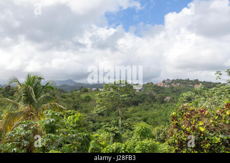 La Jamaïque, Port Antonio, au-dessus de la forêt de la Jamaïque et sur le bord des Montagnes Bleues Banque D'Images