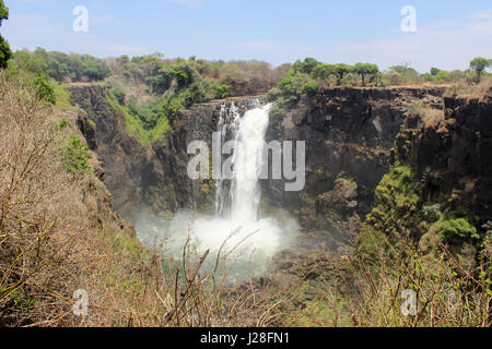Le Zimbabwe, département, Hwange, Victoria Falls National Park, Victoria Falls, sur Safari Banque D'Images