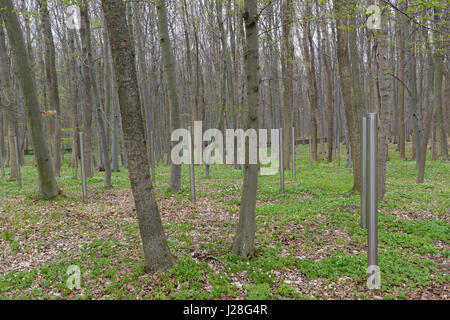 Les stèles dans les bois près de Buchenwald, en Allemagne, en commémorant les morts des charniers de la Républiques Camp spécial n° 2, de 1945 - 1950. Banque D'Images