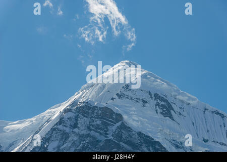 Le Népal, Région de l'Ouest, Tanki Manang, sur le circuit de l'Annapurna - Jour 7 - de Braga à Yak Kharka - sommet de neige Banque D'Images