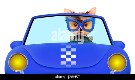 Funny puppy dans le cabriolet avec des lunettes Banque D'Images