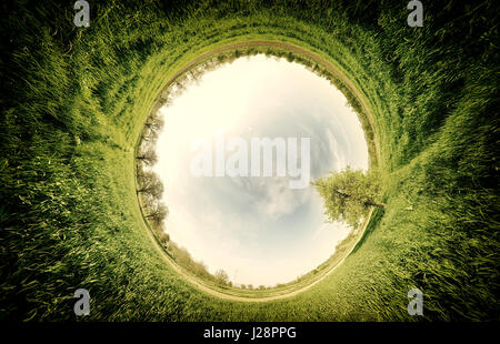 Projection stéréographique projection panoramique d'un champ vert avec des arbres Banque D'Images