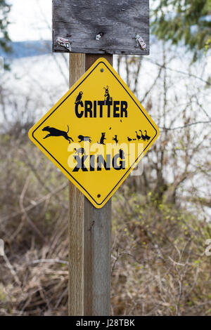 Critter jaune crossing sign post le chemin Lakeside rural. Banque D'Images