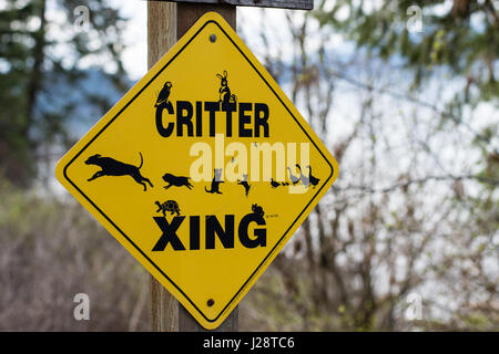 Critter jaune crossing sign post le chemin Lakeside rural. Banque D'Images