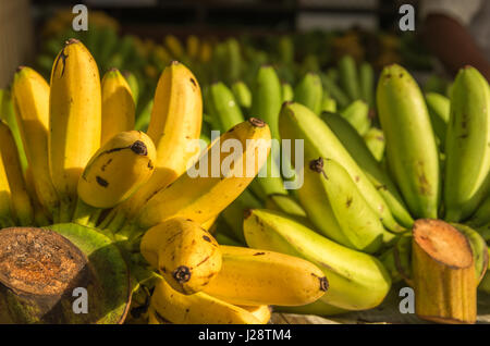 Des bananes sur le marché asiatique Banque D'Images