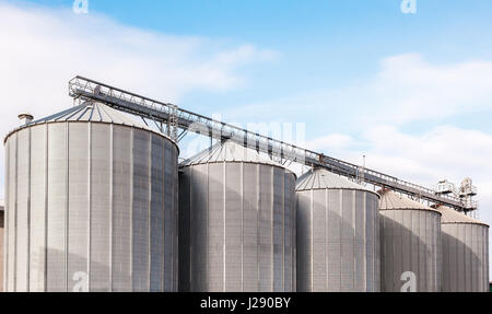 Silos agricoles. Extérieur du bâtiment. L'entreposage et le séchage de céréales, blé, maïs, soja, tournesol contre le ciel bleu avec des nuages blancs Banque D'Images