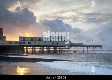 L'étourneau   troupeau survolant Aberystwyth pier au coucher du soleil d'hiver   Aberystwyth, Pays de Galles, Royaume-Uni Banque D'Images