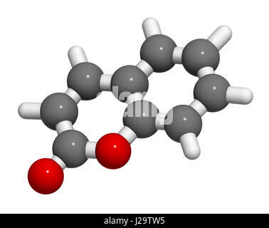 Molécule parfumée aux herbes de la coumarine. Responsable de l'odeur du foin fauché à nouveau. Le rendu 3D. Les atomes sont représentés comme des sphères de couleur classiques codi Banque D'Images