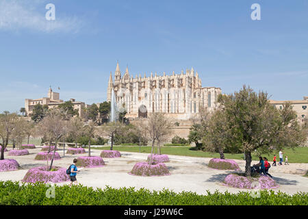 Palau de l'Almudaina et La Seu Cathedral à Palma de Majorque vu du Parc de la Mar, Espagne Banque D'Images