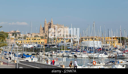 Port avec La Seu Cathedral à Palma de Majorque, Espagne Banque D'Images