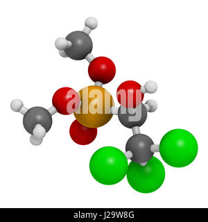 Le trichlorfon (métrifonate) molécule insecticide. Le rendu 3D. Les atomes sont représentés comme des sphères classiques avec codage couleur : blanc (hydrogène), carbo Banque D'Images