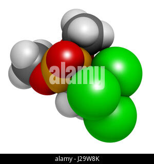 Le trichlorfon (métrifonate) molécule insecticide. Le rendu 3D. Les atomes sont représentés comme des sphères classiques avec codage couleur : blanc (hydrogène), carbo Banque D'Images