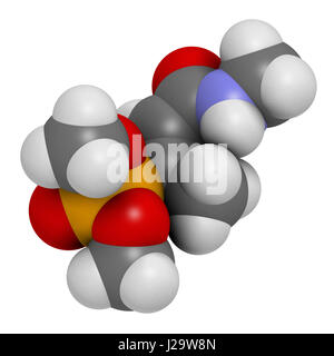 Le monocrotophos molécule d'insecticides organophosphorés. Aussi connu pour être polluant organique persistant. Le rendu 3D. Les atomes sont représentés comme des sphères avec Banque D'Images