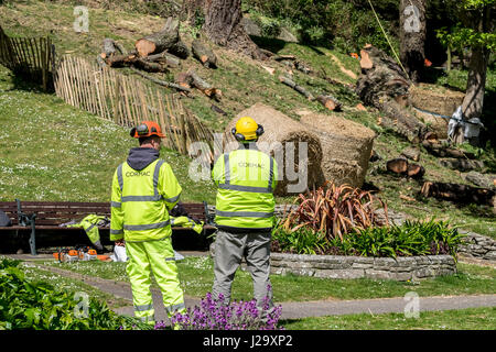 Vêtements de sécurité Travailleurs Cormac vêtements de protection en dehors de la supervision de l'équipe de l'Arboriculture Hi-viz workwear Banque D'Images