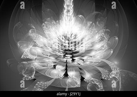 L'intensité de la fleur Fractal map, noir et blanc, générée par ordinateur résumé fond, 3D Rendering Banque D'Images