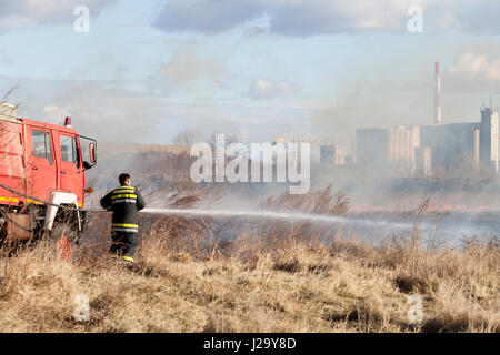 La lutte contre les incendies sur le terrain. Avec un camion de pompier et un tuyau d'incendie éteint le feu Banque D'Images